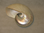 Nautilus-Muschel  ca.13 cm