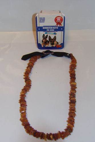 Für Hunde, Bernstein - Halsband 52-60 cm